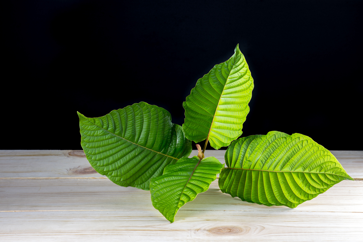 Best Kratom Strains